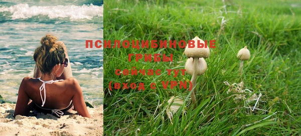 метадон Гусев