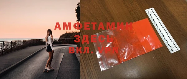 метадон Гусев