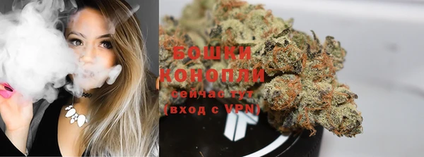метадон Гусев