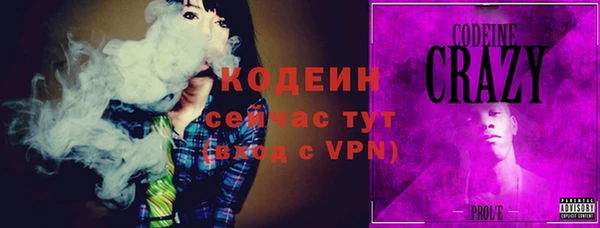 гашик Гусь-Хрустальный