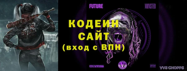 гашик Гусь-Хрустальный