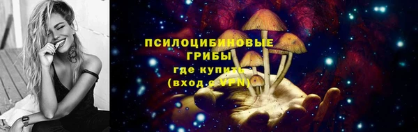мескалин Гусиноозёрск