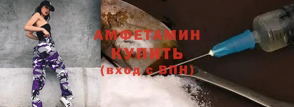 гашик Гусь-Хрустальный