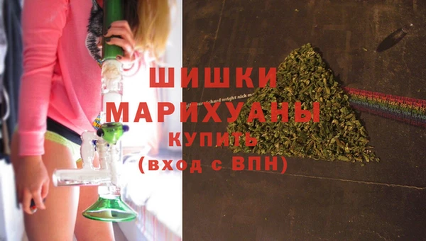 гашик Гусь-Хрустальный