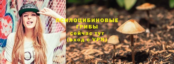 мескалин Гусиноозёрск