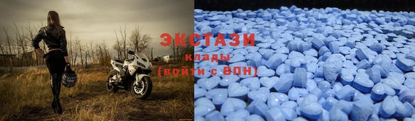гашик Гусь-Хрустальный