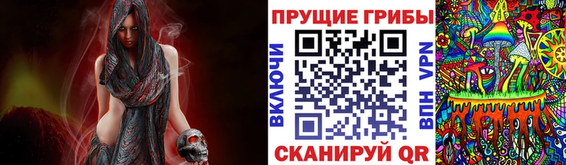 Купить  Ак-Довурак  Галлюциногенные грибы GOLDEN TEACHER 